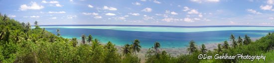Forest to Reef