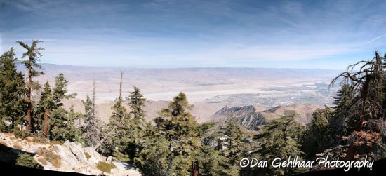 Palm Springs Panorama