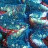 Giant Clam Closeup 2